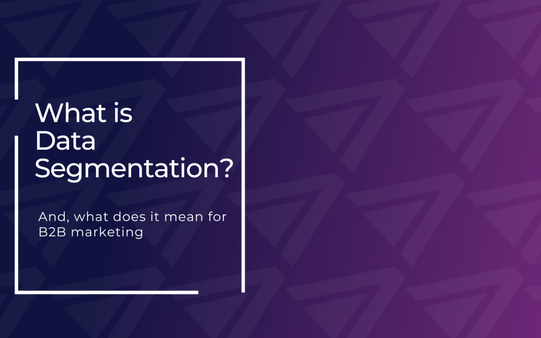 What is Data Segmentation? 