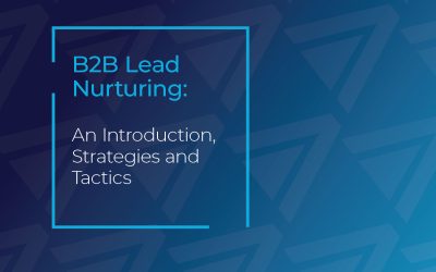Ebook: B2B Lead Nurturing