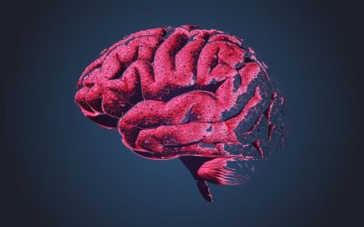 Washington Post Partners with OpenAI And AI has got a potential treatment for Alzheimer’s!