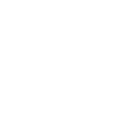 target (1)